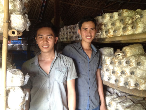 Bồ Bảo Giang (trái) và Cao Ngọc Hải khởi nghiệp thành công với nghề trồng nấm - Ảnh: Lê Thanh