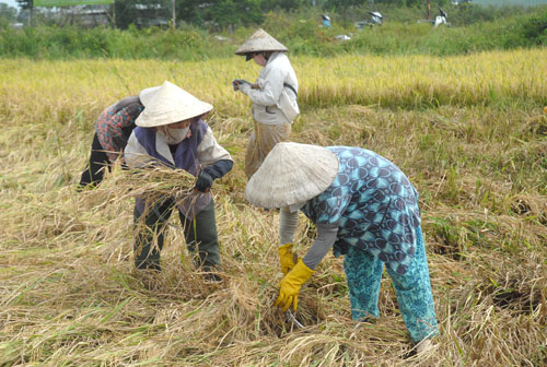 Thủ tướng Nguyễn Tấn Dũng: Nếu để nông dân nghèo sẽ không có nông thôn mới