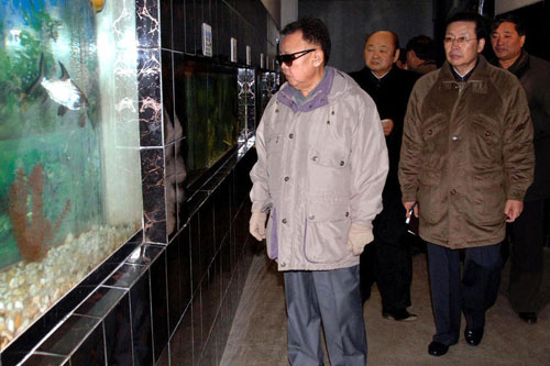 Ông Kim Jong-il “cảnh báo con trai về Jang Song-thaek”