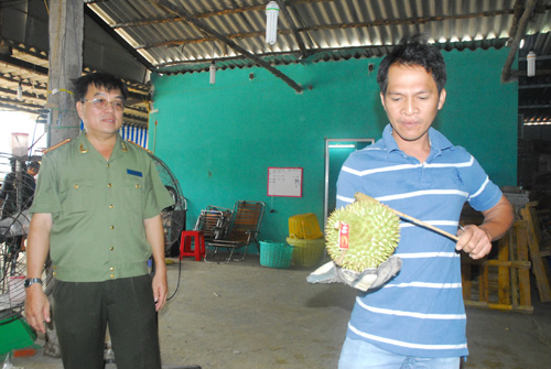 Một người Thái Lan đang diễn cách kiểm tra chất lượng sầu riêng 