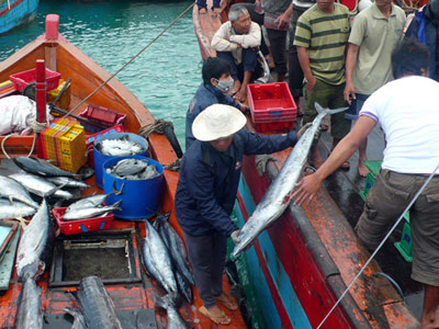 Lộc biển đầu xuân