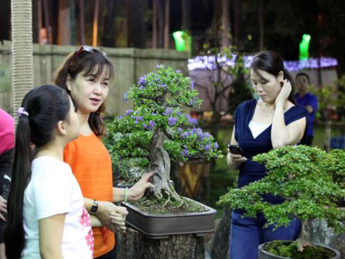 Khu trưng bày non Bonsai của các nghệ nhân đến từ Indonesia