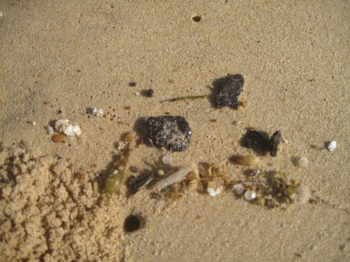 Dầu vón cục xuất hiện trên bãi biển Bãi Xép