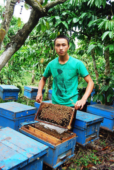 Phạm Văn Bảo Trung trong trại ong của mình