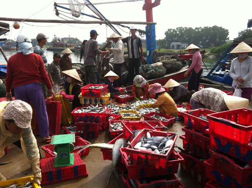 Quang cảnh mua bán hải sản tấp nập tại Cảng cá Thuận An ngay những ngày đầu năm