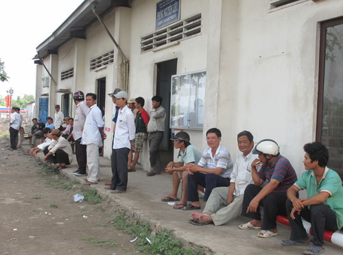 M&iacute;a&hellip; đắng2