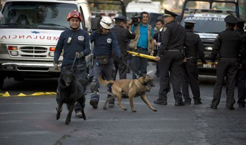 Lực lượng cứu hộ cùng chó nghiệp vụ được huy động vào công tác cứu hộ - Ảnh: AFP
