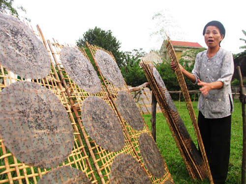 Làng bánh vào vụ