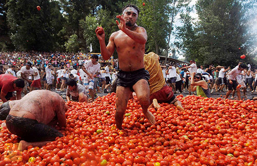 “Cuộc chiến cà chua” ở Chile