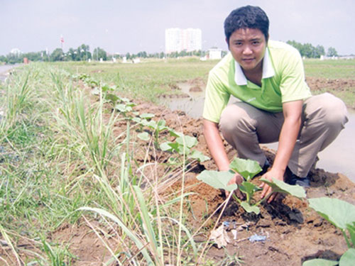 Tuấn Khởi bên vườn rau xanh