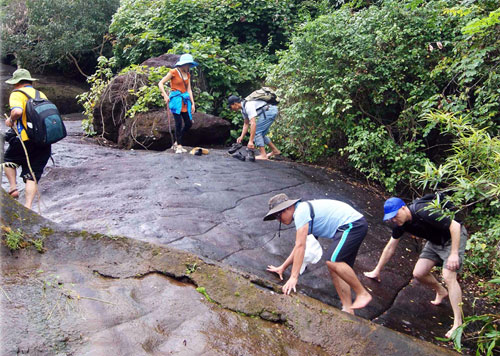 Mở tour thám hiểm tại khu vực Mỹ Sơn