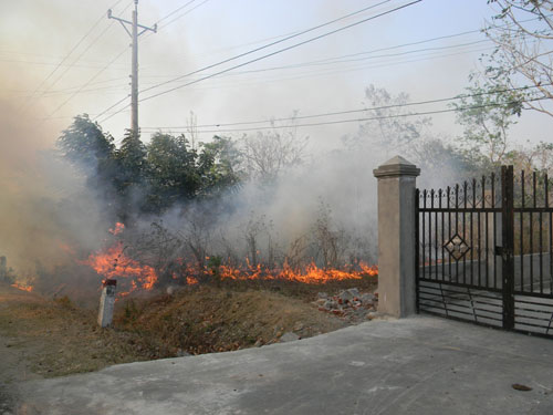 Rừng quanh trụ sở Công ty lâm nghiệp bị cháy 1