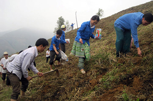 Tình nguyện tháng ba