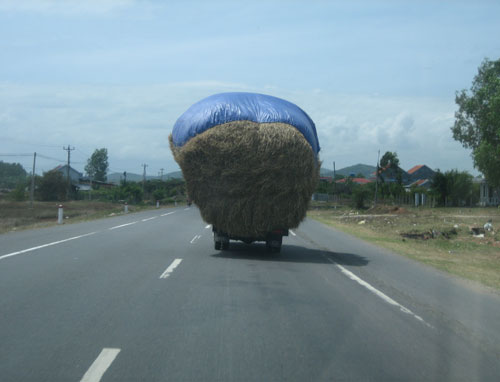 Cây rơm di động