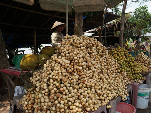 Dâu Hạ Châu nghịch vụ giá cao 