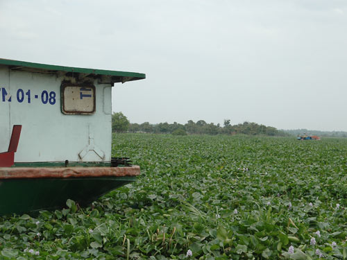 Lãng phí đường thủy ở Tây Ninh