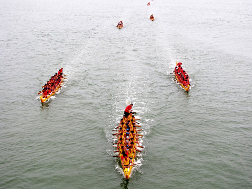 Các thuyền đua tranh quyết liệt trên sông