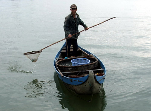 Bình Định vào mùa sứa