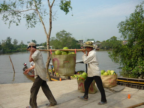 “Ăn theo” thương hiệu nông sản