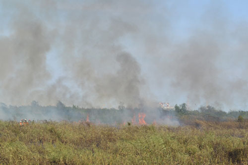 Cháy lớn tại bãi lau sậy gần hầm Thủ Thiêm 3
