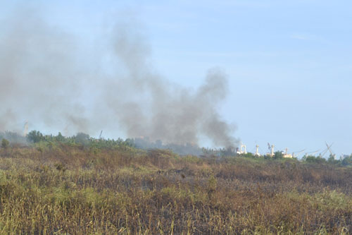 Cháy lớn tại bãi lau sậy gần hầm Thủ Thiêm 5