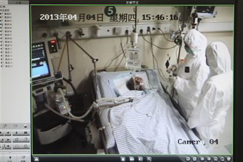 Số ca tử vong vì H7N9 tại Trung Quốc lại tăng, Mỹ, Nhật cảnh giác cao độ