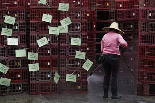 Trung Quốc đang bưng bít cúm H7N9?