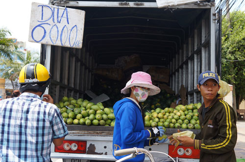 Xe tải bán trái cây giữa đường