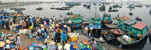 Chợ cá Bến Do 