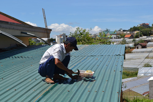 Ông Nguyễn Văn Lợi đang lợp lại mái nhà sau mưa đá