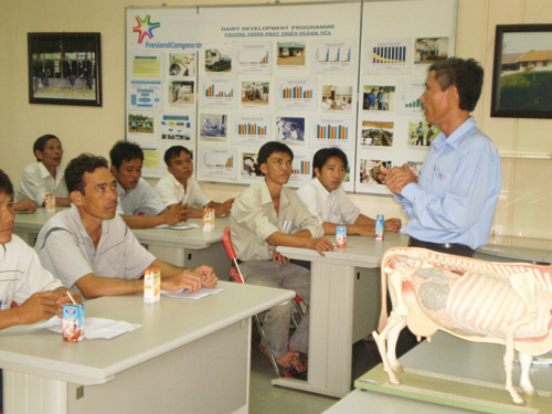 Lớp tập huấn chăn nuôi bò sữa của FrieslandCampina Việt Nam