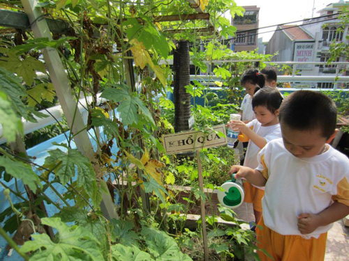 Học sinh lớp mầm 2 Trường mầm non Vàng Anh (Q.5) tập làm vườn