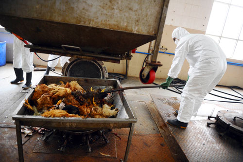 Trung Quốc có thêm người chết vì cúm H7N9 