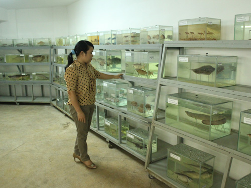 Độc đáo bảo tàng thủy sản ở Đồng Nai