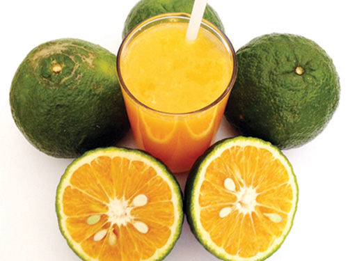 Dùng các thực phẩm như cam sẽ có lợi trong quá trình điều trị ngứa do nhiễm nấm
