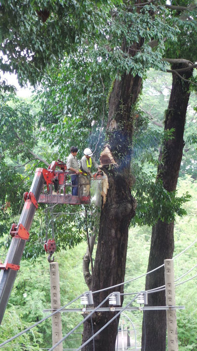 Cơ quan chức năng đang giải quyết vụ việc - 3