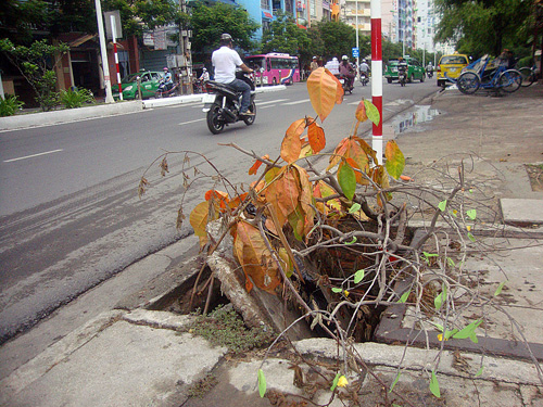 Hố ga mất nắp