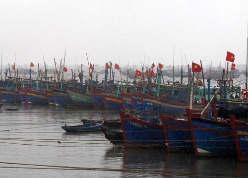 Chiều tối ngày 23.6, nhiều ngư dân ở H.Hậu Lộc vẫn không chịu di chuyển tàu vào sâu trong đất liền tránh trú bão