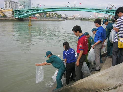 Hoạt động thả cá xuống kênh khởi động chiến dịch tình nguyện của Q.1 (TP.HCM)