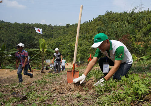  Tổng giám đốc HVN, ông Masayuki Igarashi đang trồng một cây keo tai tượng