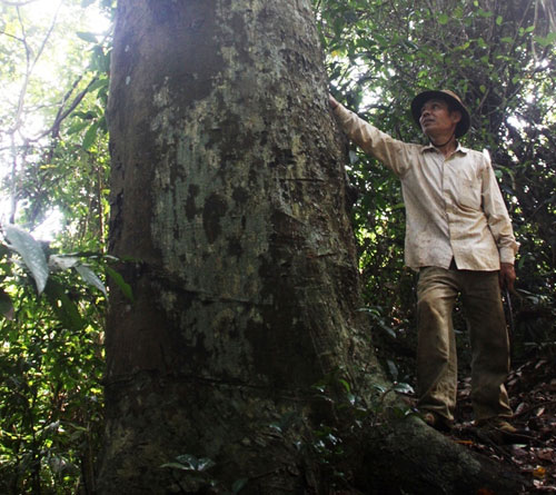 Kỳ tích giữ rừng: Đời người giữ rừng