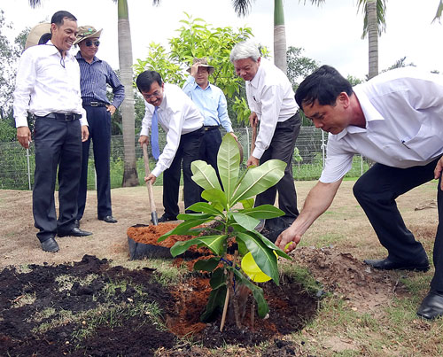 Trồng bàng vuông tại Khu xử lý rác Đa Phước