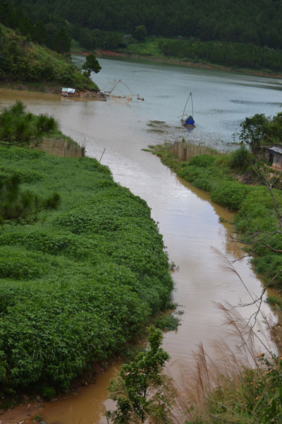 Báo động tình trạng ô nhiễm ở hồ Tuyền Lâm Đà Lạt 1