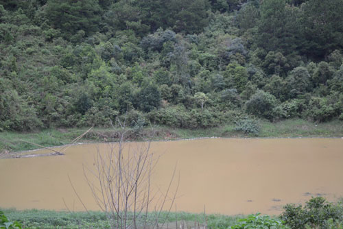 Báo động tình trạng ô nhiễm ở hồ Tuyền Lâm Đà Lạt 2
