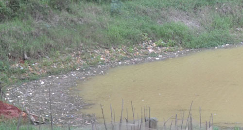 Báo động tình trạng ô nhiễm ở hồ Tuyền Lâm Đà Lạt 3