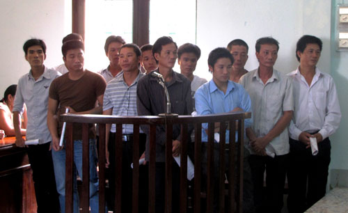 Xét xử 12 người chặt hạ 3 cây huê cổ thụ ở Phong Nha-Kẻ Bàng