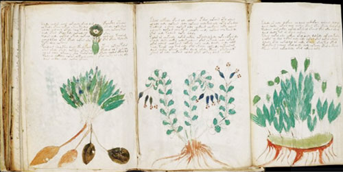 Bí ẩn cuốn sách Voynich