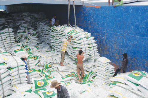 Giá gạo xuất khẩu đã giảm bình quân 12,8% trong 6 tháng qua - d