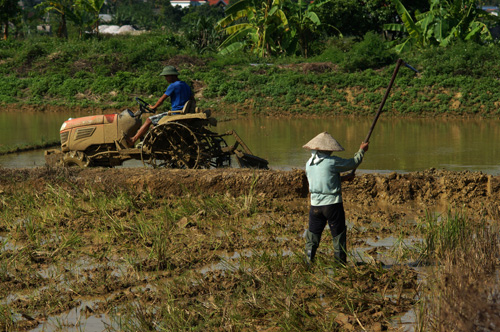 Đã có máy cày, nhưng nhiều người vẫn phải cuốc ruộng