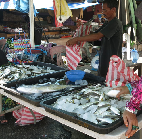 Giá những loài cá này tại các chợ ướt Singapore đang tăng mạnh sau lệnh cấm của Malaysia - d